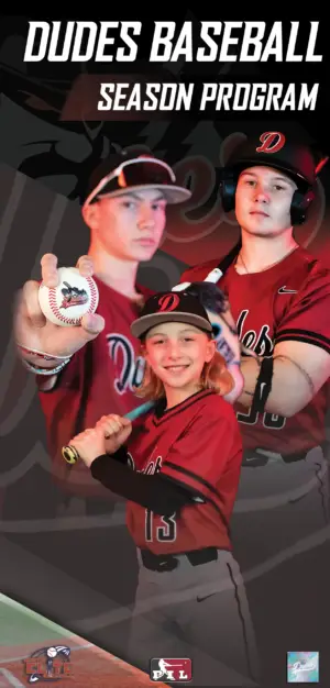 2025 TRYOUT TICKET - Image 3