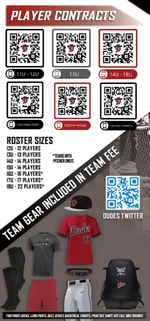 2025 TRYOUT TICKET - Image 7